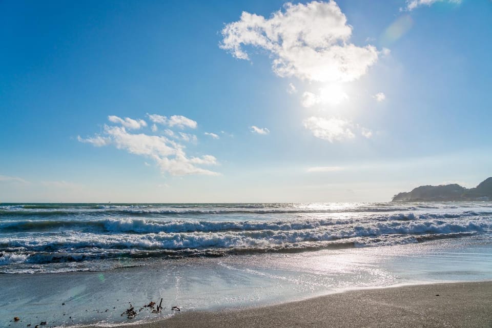 Kamakura: Tour on the Works of Ninshô in French - Historical Context