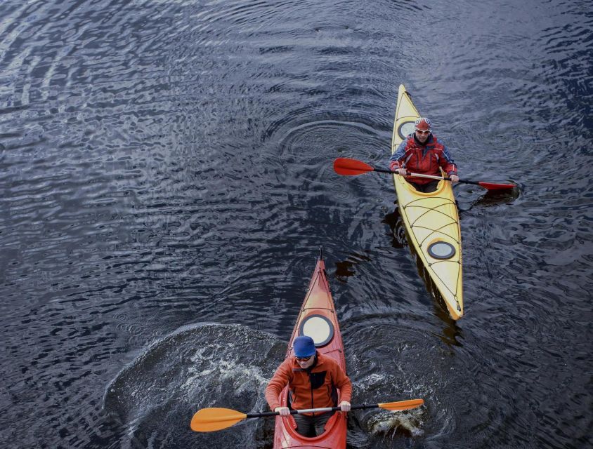 Kayak Tour on the Côa River - Whats Included in the Tour