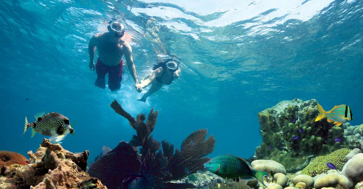 Key West: Snorkeling Tour With Mimosas or Margaritas - Snorkeling Experience