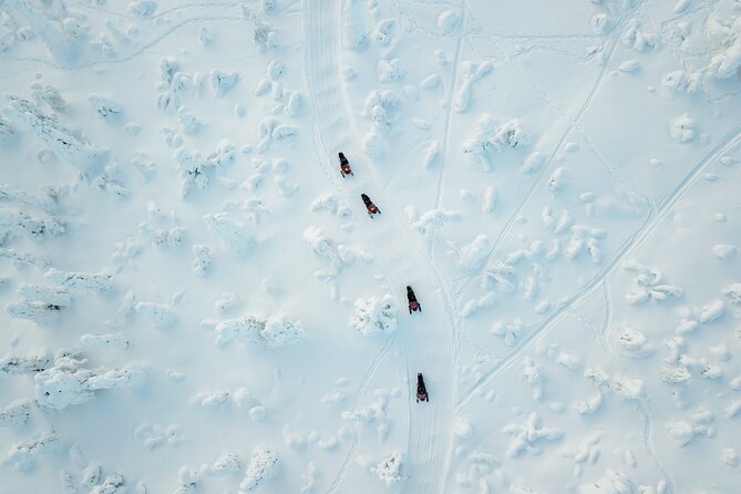 Lappish Lunch Break - Snowmobiling, Ice Fishing, and Tasty Food - Mastering the Art of Ice Fishing