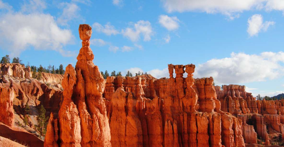 Las Vegas: Bryce and Zion National Parks, Lunch & Free WiFi - Highlights