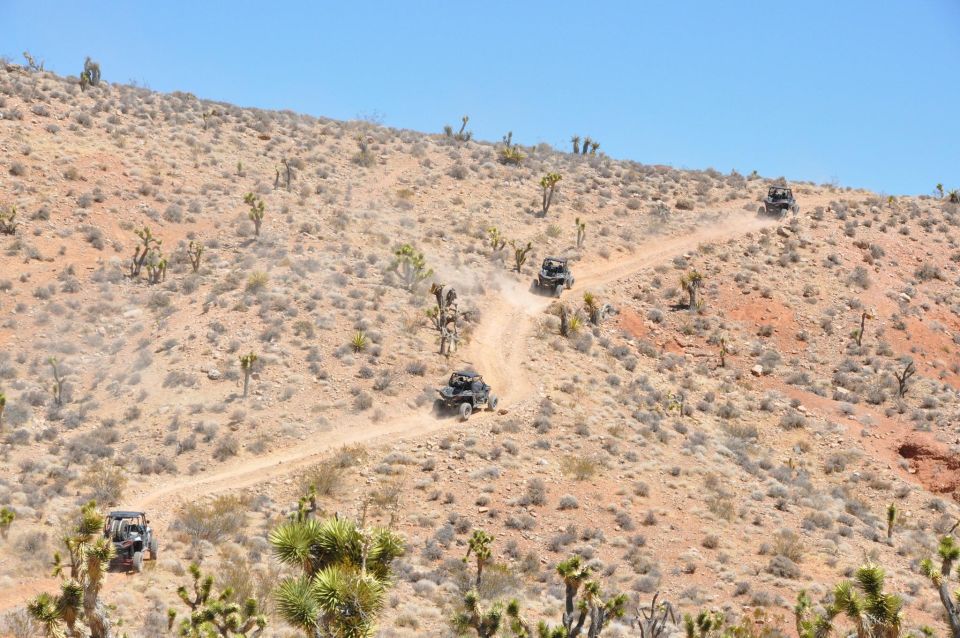 Las Vegas Mojave Desert Adventure - Guided Tour - Vehicles