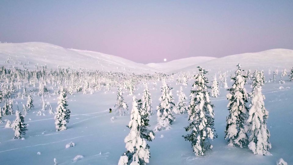 Levi: Explore the Wilderness - Capturing Arctic Landscapes