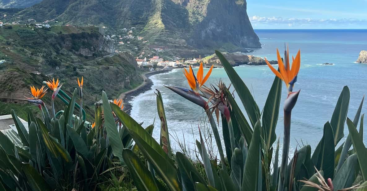 Madeira: Cliff Hanger Vereda Larano Hike Machico - Initial Meet-Up