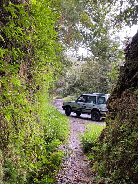 Madeira Mystery Tour Half-Day - Private 4x4 Jeep - Majestic Mountains