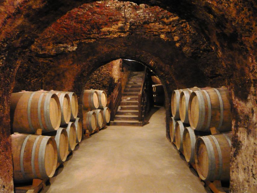 Madrid Region Wineries: Guided Tour and Tastings - Historical Context