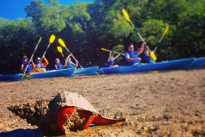 Mangrove Tunnels & Mudflats Kayak Tour - Local Biologist Guides - Booking and Cancellation Policy