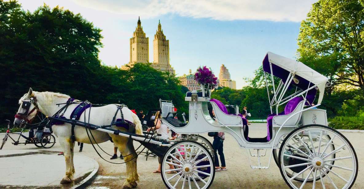 Manhattan: VIP Private Horse Carriage Ride in Central Park - Horse Hooves and History