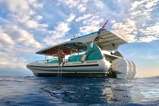 Manta Ray Snorkel Moonlight Kona Hawaii - Small Group Available - Safety and Preparation