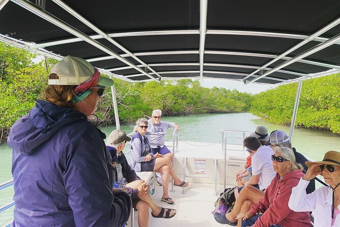 Marco Island Dolphin Sightseeing Tour - Tour Accessibility