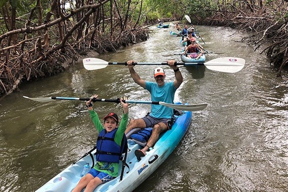 Marco Island: Kayak Mangrove Ecotour in Rookery Bay Reserve - Exploring Mangrove Forests