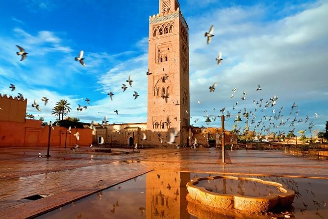 Marrakech Sightseeing Tour - Reviews and Feedback