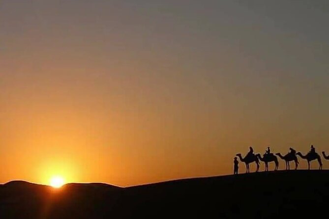 Marrakech Sunset Camel Ride & Agafay Dinner Under the Stars - Logistics Information