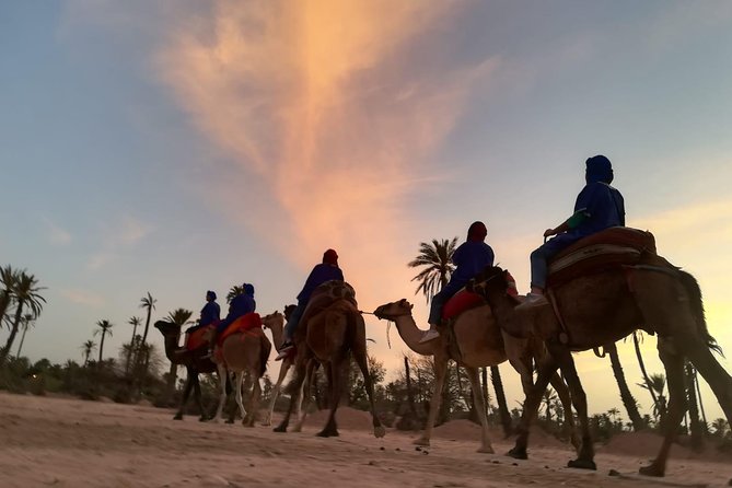 Marrakech Sunset Camel Ride in the Palm Grove - Meeting and Pickup