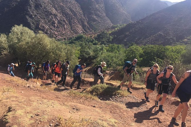 Marrakech to Atlas Mountains and 4 Valleys Day Trip - Meeting and Pickup Details