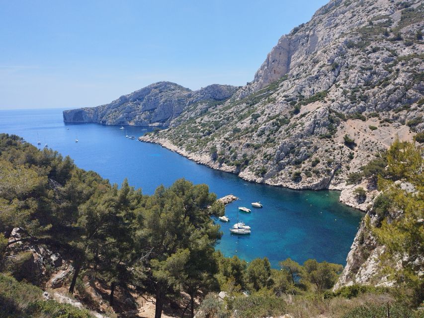 Marseille: Guided Hiking Calanques National Park From Luminy - Key Highlights