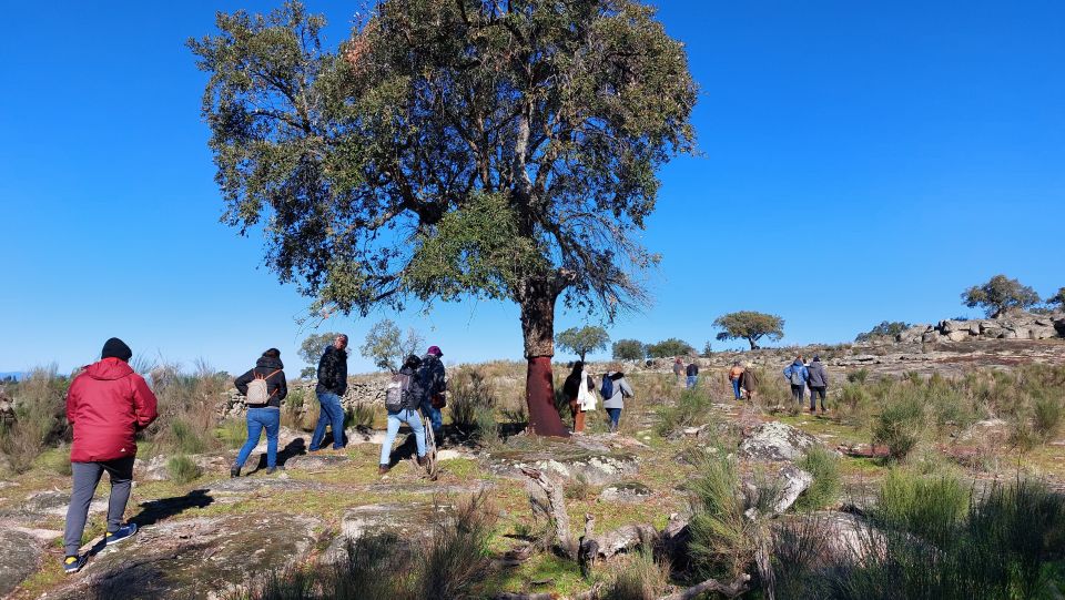 Marv??o: Megalithic Monuments Private Tour With Hotel Pickup - The Largest Menhir in Iberia