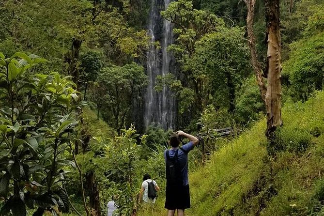 Materuni Waterfall, Visiting Chagga Village, Coffee Tour Kikuletwa Hot Springs - Coffee Production and Tasting