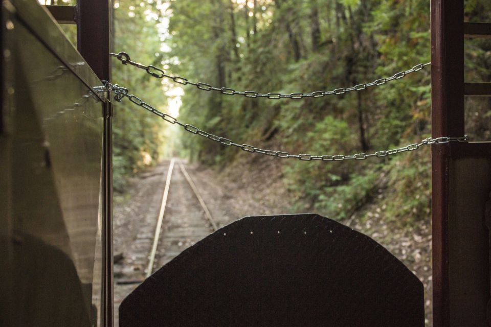 Mendocino County: Skunk Train Wolf Tree Turn Train Ride - Historical Background