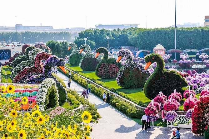 Miracle Garden Ticket Dubai With Shared Transfers - Pickup and Drop-off