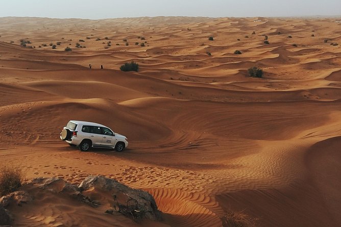 Morning Desert Safari - Quad Biking Excitement