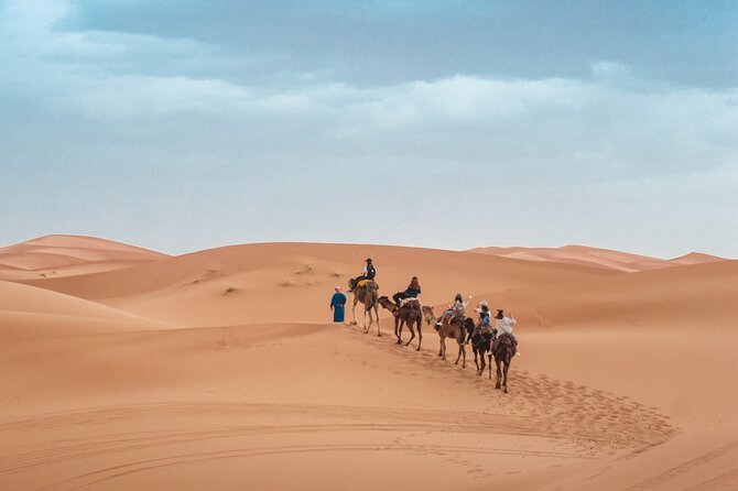 Morning Desert Safari From Abu Dhabi -Camel Ride,Sand Boarding,Camel Farm Visit - Participant Information