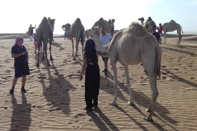 Morning Safari by 4x4 From Dubai With Sand Boarding - Cancellation and Refund Policy