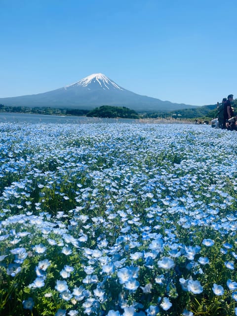 Mount Fuji and Lake Kawaguchiko Tour With English Guide - Pickup Options