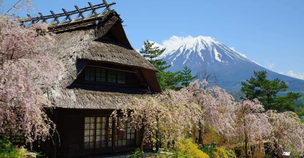 Mount Fuji Sightseeing Trip Review - Tour Inclusions and Requirements