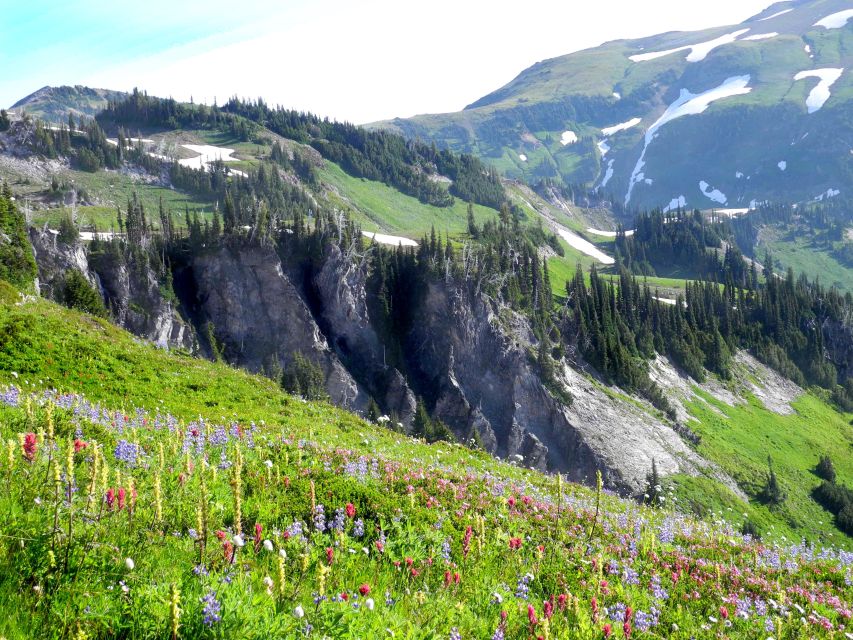 Mt Rainier, Seattle, & Olympic NP Self-Guided Audio Tours - Highlights and Activities