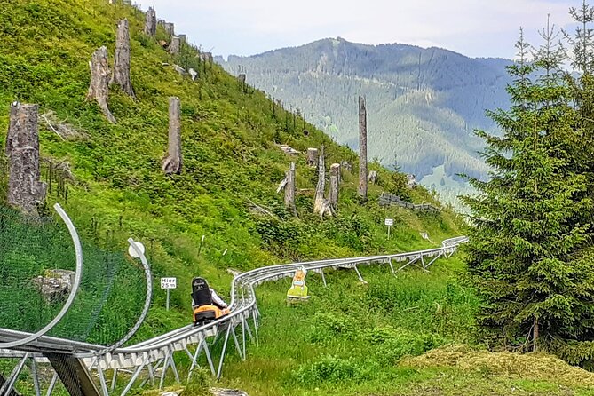 My*Guide EXCLUSIVE Neuschwanstein Castle Tour Incl. Tickets and ALPINE COASTER From Munich - Traveler Highlights