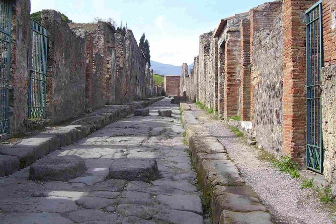 Naples Shore Excursion: Pompeii Half Day Trip From Naples - Tour Highlights