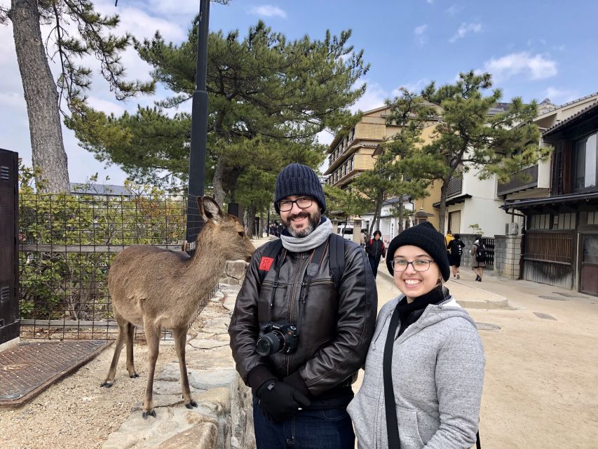 Nara: Private Tour With Private Guide - Pickup and Accessibility