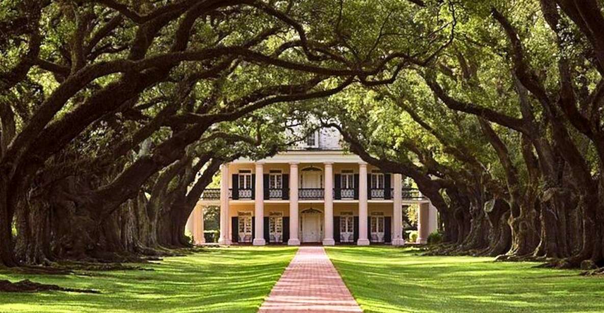 New Orleans: Swamp Boat Ride and Historic Plantation Tour - Swamp Boat Ride Details