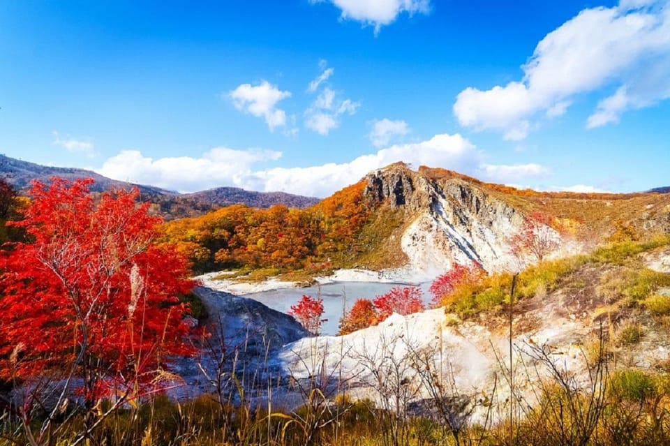 Noboribetsu: Jigokudani & Toya 1 Day Tour From Sapporo - Languages and Starting Location