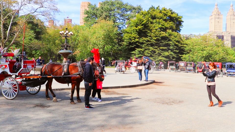 NYC: Guided Standard Central Park Carriage Ride (4 Adults) - Highlights of the Experience