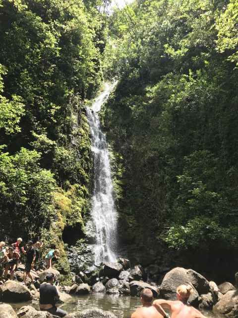 Oahu: Private Island Tour - Included Services