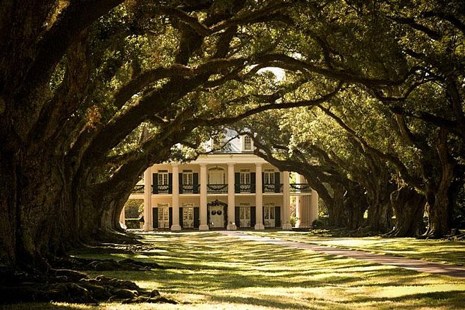 Oak Alley Plantation and Large Airboat Swamp Tour From New Orleans - Airboat Swamp Tour Experience