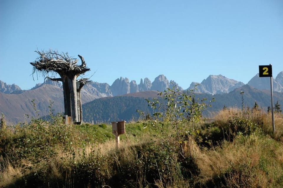 Oberperfuss: Disc Golf on the Rangger Köpfl - Included in the Tour