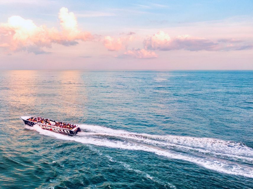 Ocean City, MD: Sea Rocket Sunset Cruise & Dolphin Watch - Tour Description