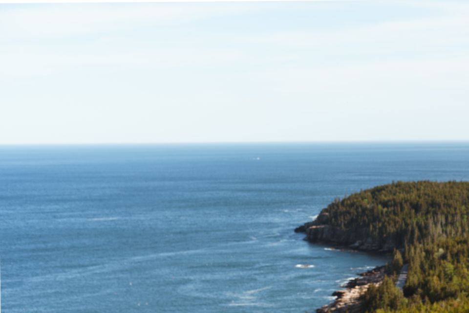 Ocean Path: Acadia Self-Guided Walking Audio Tour - Wildlife Encounters