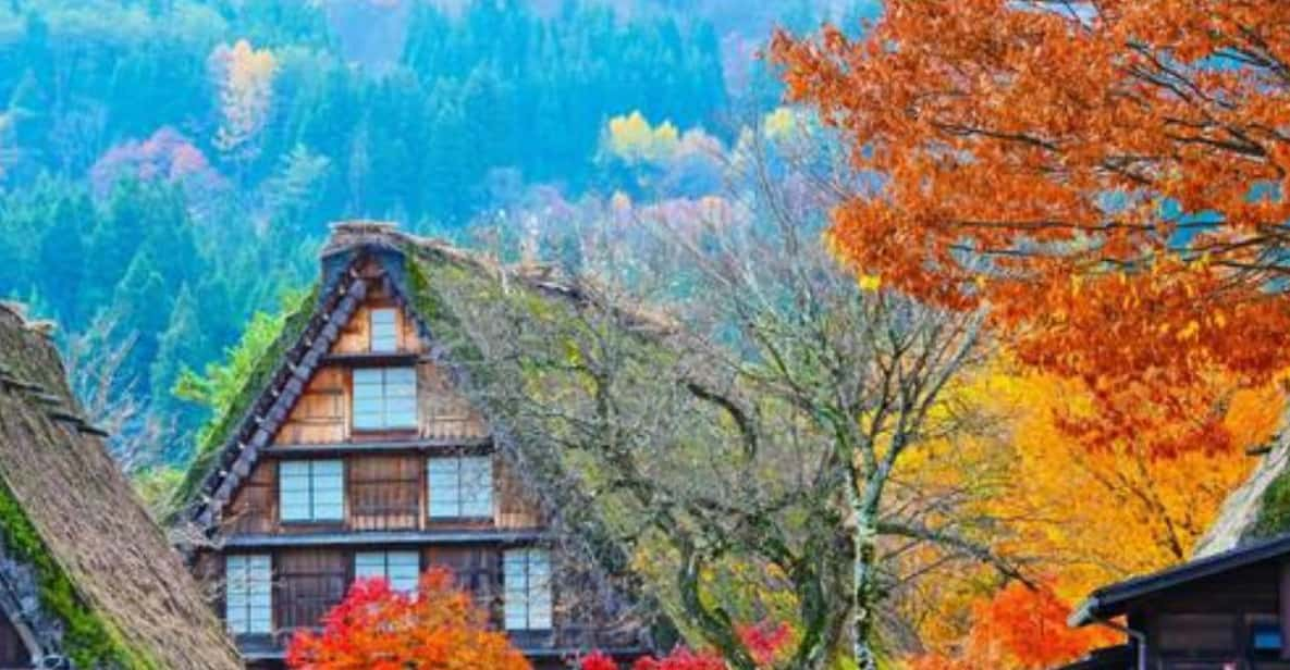 One Day Private Tour to Shirakawa-go & Takayama - Transportation and Inclusions