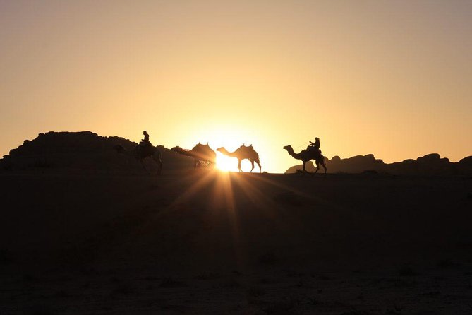 One Day Tour Wadi Rum - Sandboarding Adventure