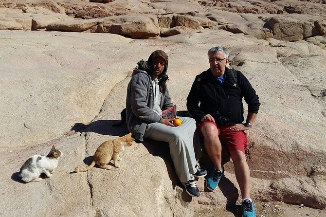 Overnight Trip to Saint Catherine Monastery From Cairo - Customer Feedback