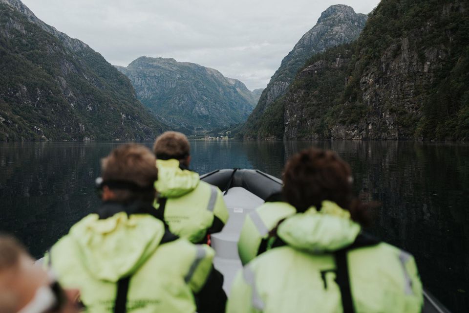 Oystese: Exclusive RIB Hardangerfjord Safari to Fyksesund - Highlights of the Tour