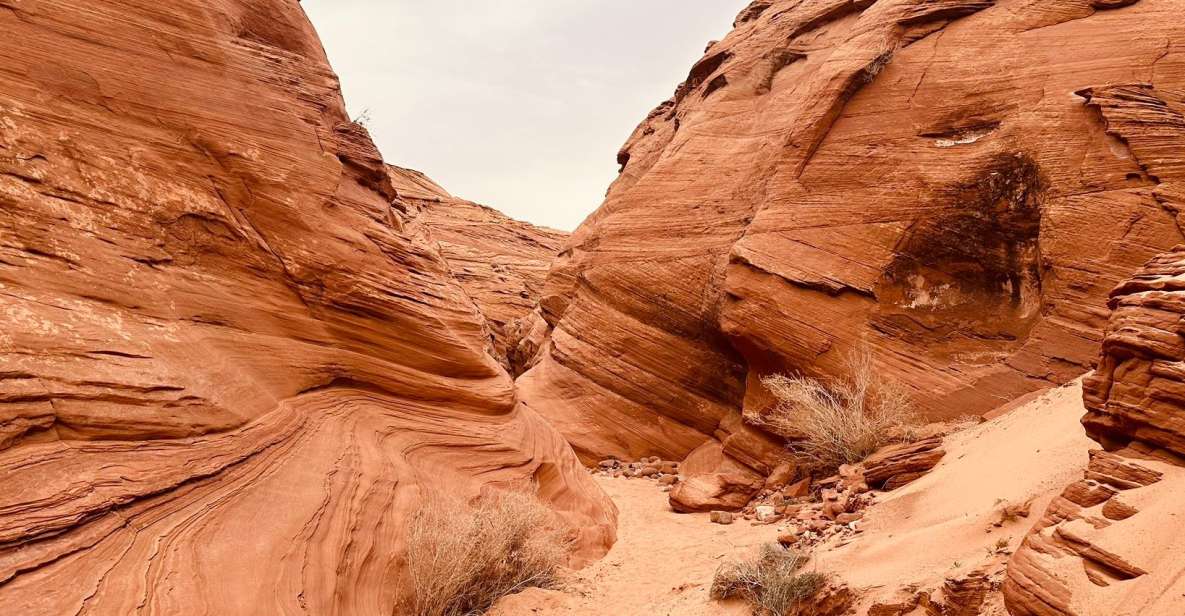 Page: Mountain Sheep Slot Canyon Guided Hiking Tour - Highlights