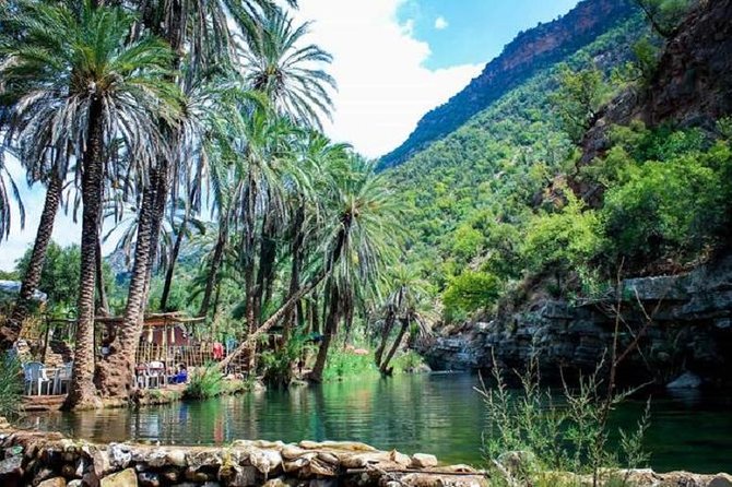 Paradise Valley Half Day From Agadir - Tour Activities