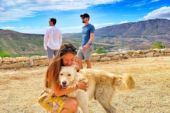 Picnic in an Organic Winery in Alcamo - Group Size Limit