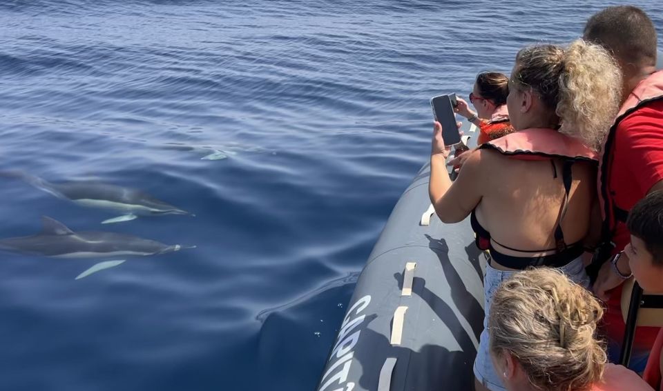 Portimão: Dolphin Watch & Benagil Caves With Biologist Guide - Benagil Cave Venture