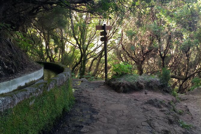 PR6 25 Fountains/Risco Levada Private Transfer - Exploring Levada Das 25 Fontes